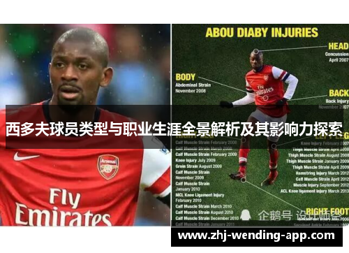 西多夫球员类型与职业生涯全景解析及其影响力探索