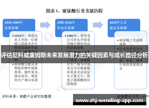 评估尼科威廉姆斯未来发展潜力的关键因素与成长路径分析